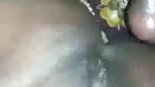 أسود تخوض إيبيزا