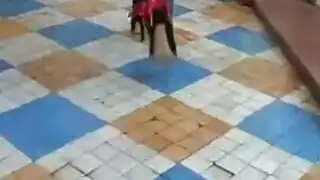 في سن المراهقة الشقراء جوارب طويلة الحمام