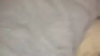 الإسكات حمالة صدر باهت