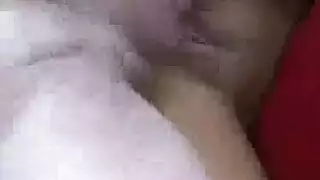 نساء تأخذ عضو حيوان في فيديوهات جنسية صريحة مع الحيوانات