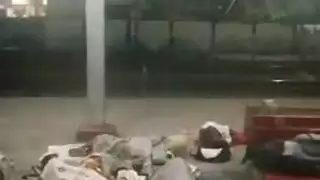 خداع تورم الهرة