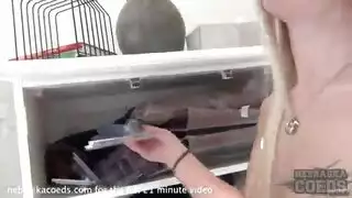 لقاء سحاقي جنسي: لعق الفرج وجنس بحزام ذكر صناعي