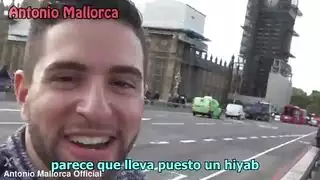 شاعر المليون الهرة الأكل على ركبتيها