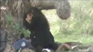 سكس عربي في الخارج: طالبات عاهرات تأخذ زب في العلن