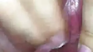 ملحمة إباحية كرتونية كاملة: حلقات سيف النار الصريحة