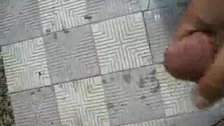 تونسي ينبك جزائرية