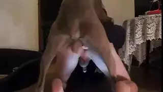 كلب بري ينيك نساء مثيرة بقوة