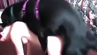 ٤ فتاة مثيرة في أوضاع جنسية متطرفة: حركة مثيرة