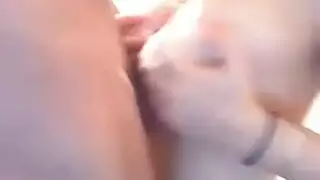 أم ساحنة تتعرض للجنس المزدوج من قبل فتى متمرد وصديقه الموشوم