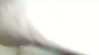 شواذ ولاد فشخ طيور بعض شواذ ولاد